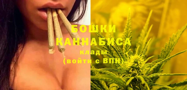 стафф Ростов